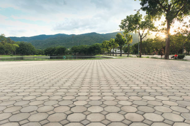 Best Professional Driveway Pavers  in Newport, AR